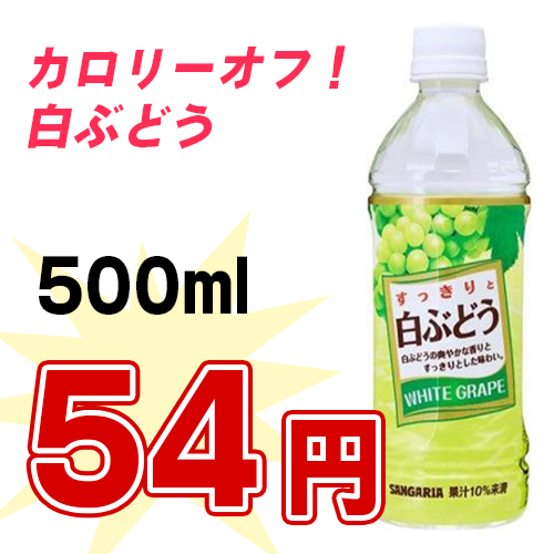 つぶつぶナタデココ入り 白ぶどう 500ml ペット 24本入り ドリンク一番 飲料の卸売